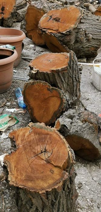 Черница за дървен материал