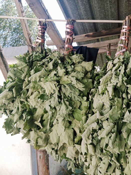 Дубовый веники..