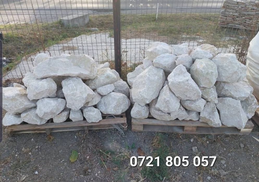 Bolovani ornamentali de decor, Bolovani uriași