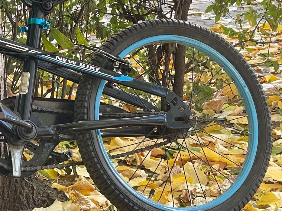Bicicleta CARAIMAN