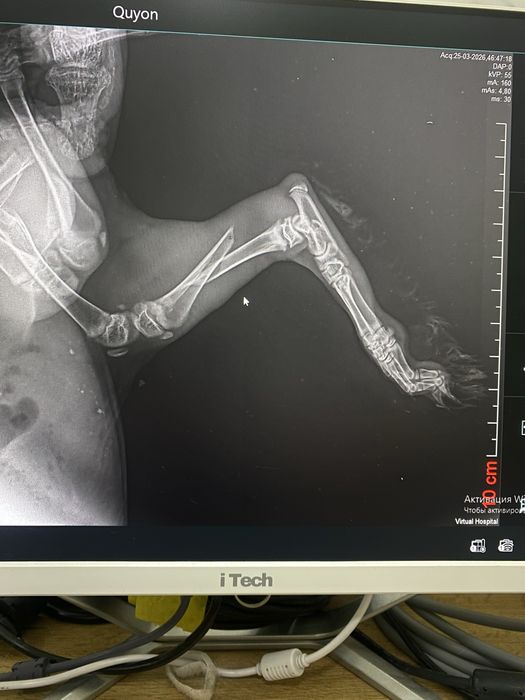 Veterinariya xizmati 24/7