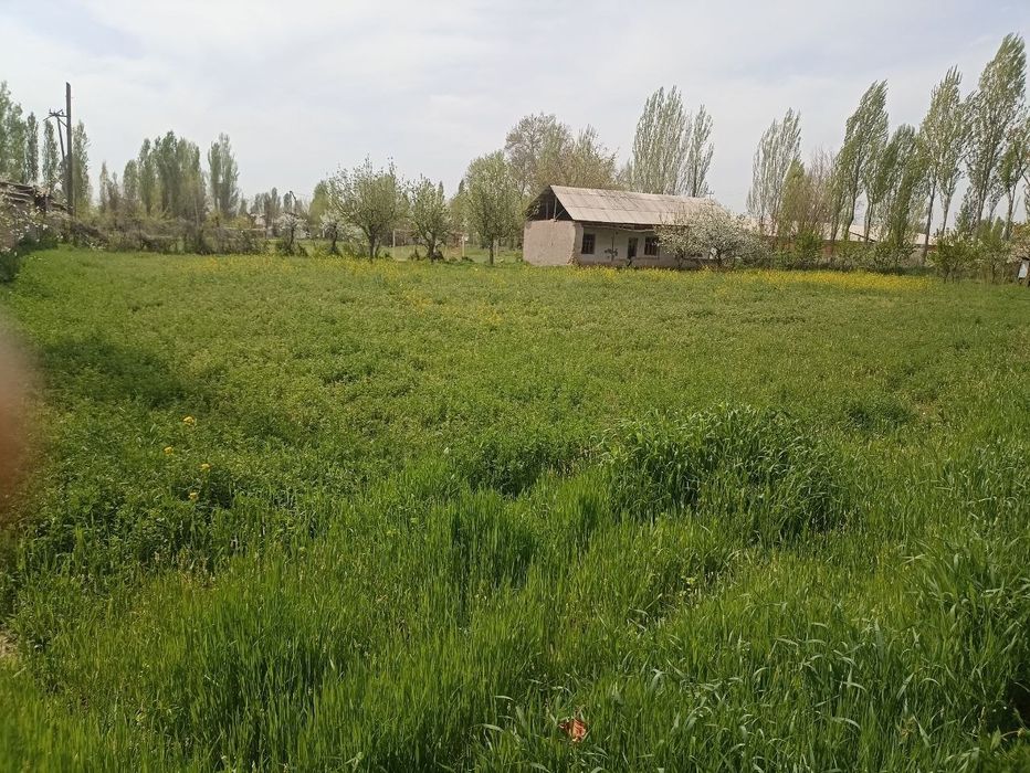 Yer sotiladi vremiyankasi bilan