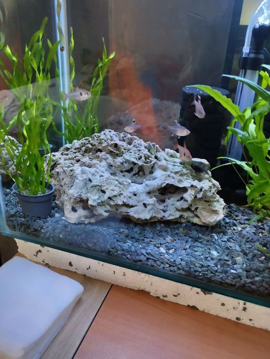 Естествен декоративен камък Бигор