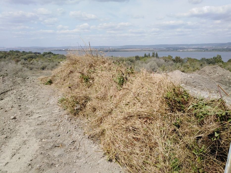 От 1лв на кв.м разчиства буренясали вили