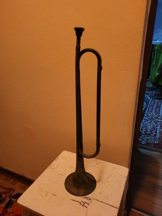 Lot de o trompeta și o goarna