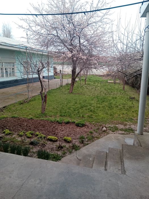 11.34 sotik uy joyli yer