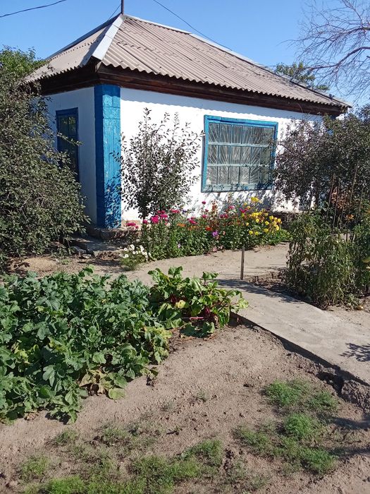 Продам дачу восточный левый