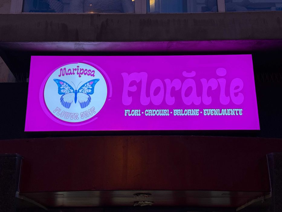 Casetă/reclamă luminoasă LED profesională, ideală pentru orice afacere