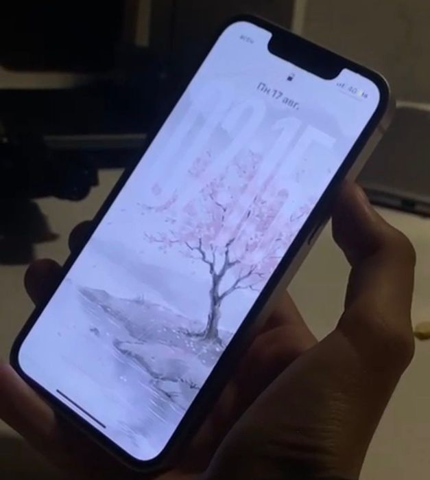 iphone 13 mini pink