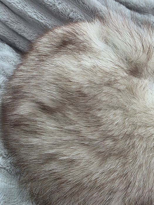 Caciula blana naturală