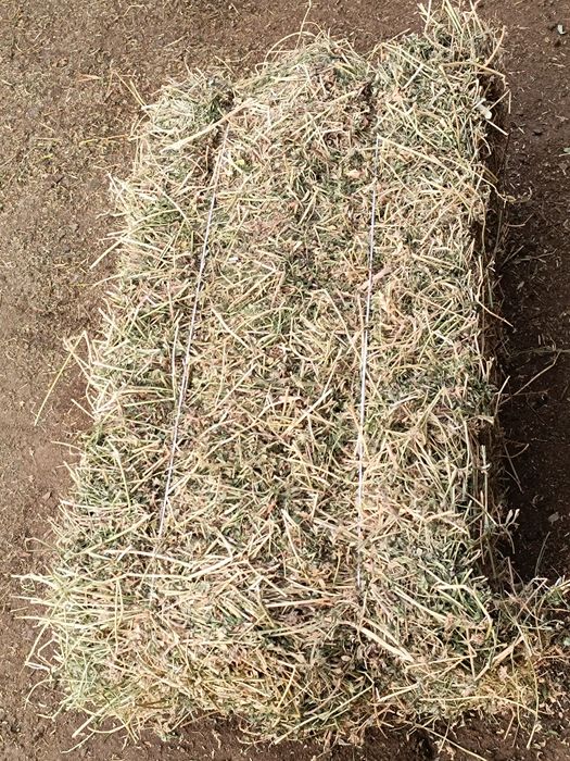 Beda pres 3chi o'roq