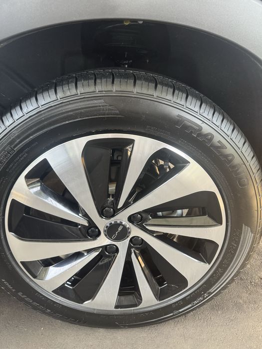 BYD Champion Hybrid 150 Full