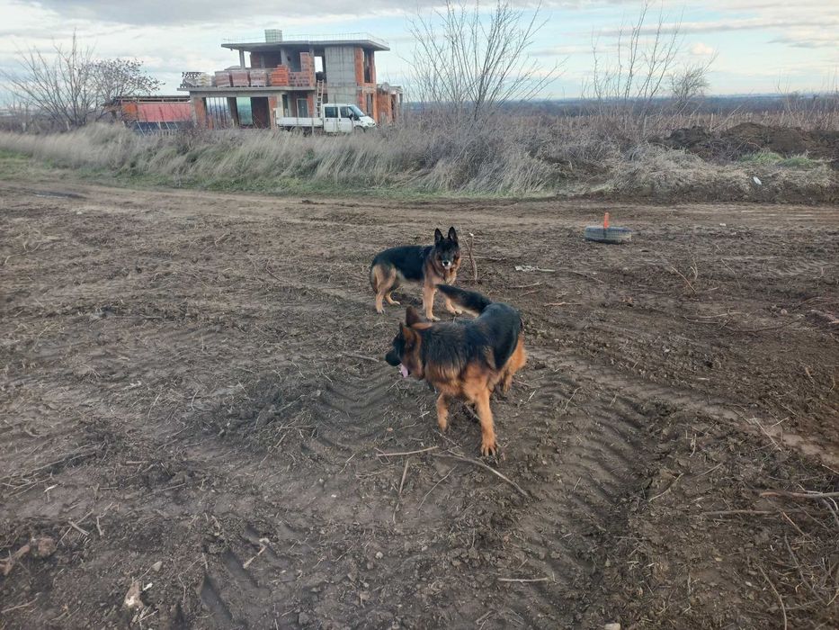 Продавам земеделска земя(имот, парцел)