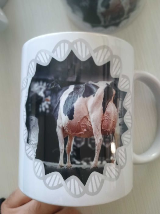 Брандиране на фирмени чаши, чаши за сватби, със снимки и послание