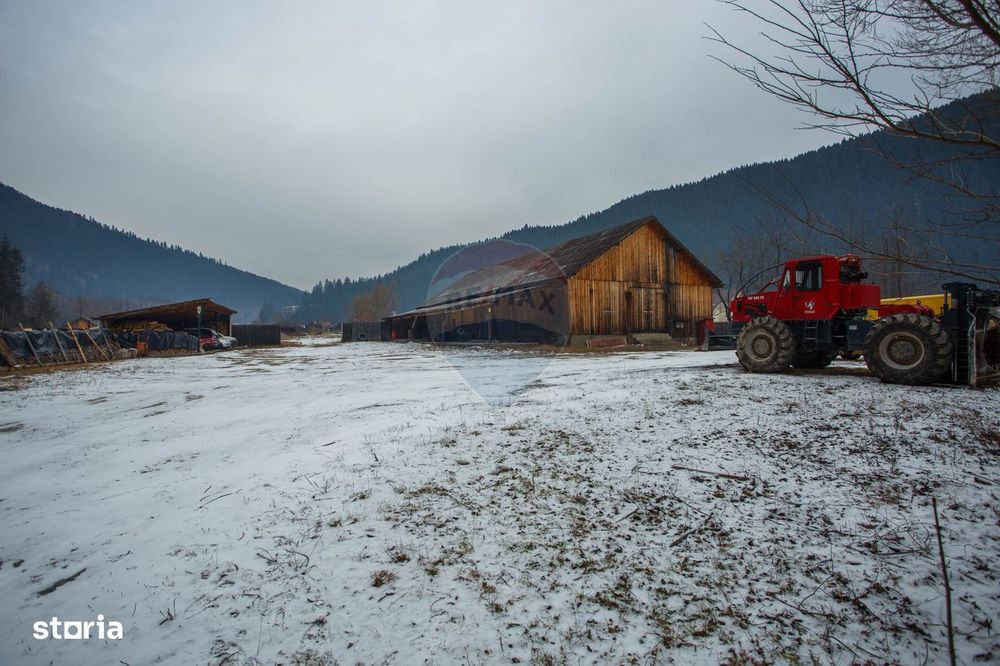 De vanzare| Hala industriala + teren, post trafo propriu, Borca, Neamt
