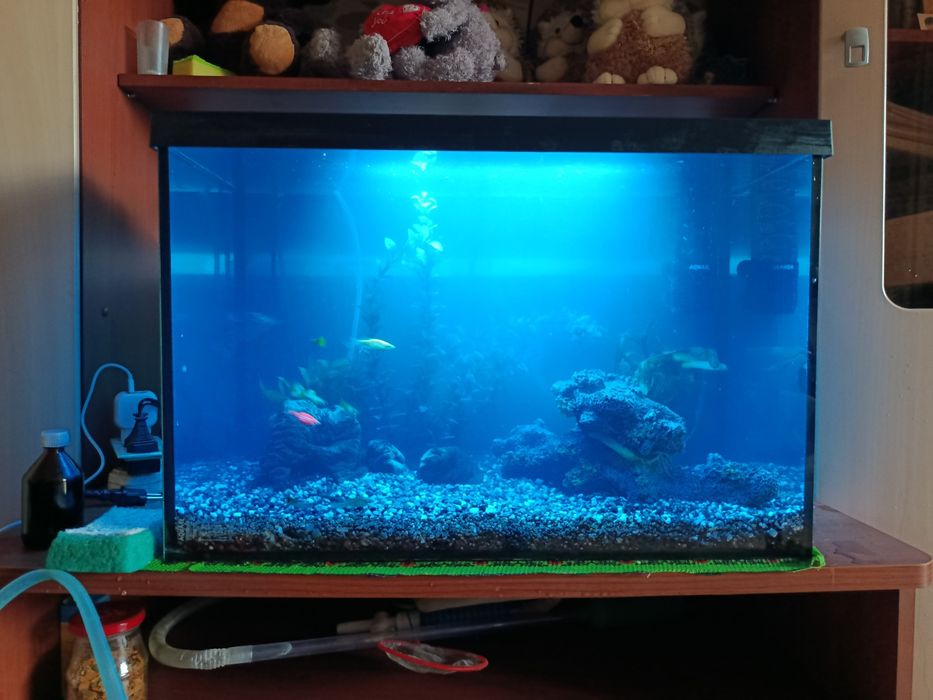 Обслужuвание акварuумов