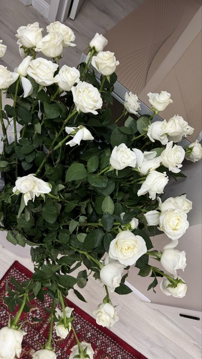 Цветы цветы цветы цветы