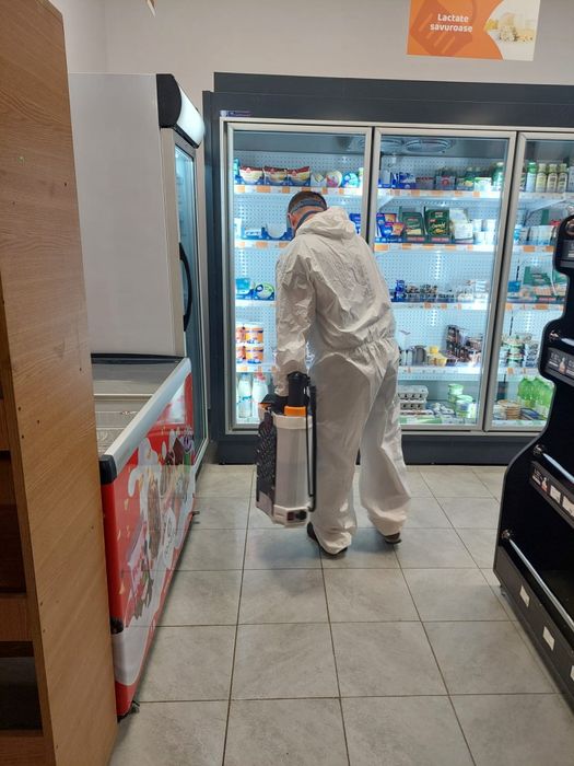 Servicii DDD -Dezinsectie Deratizare Dezinfecție