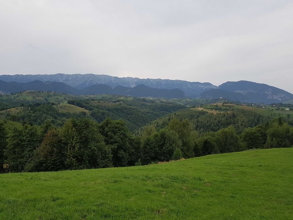 Teren Drumul Carului 3.8 ha