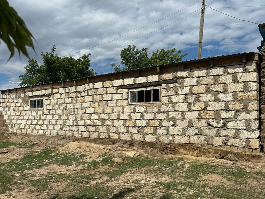 Шибаевка ауылынан