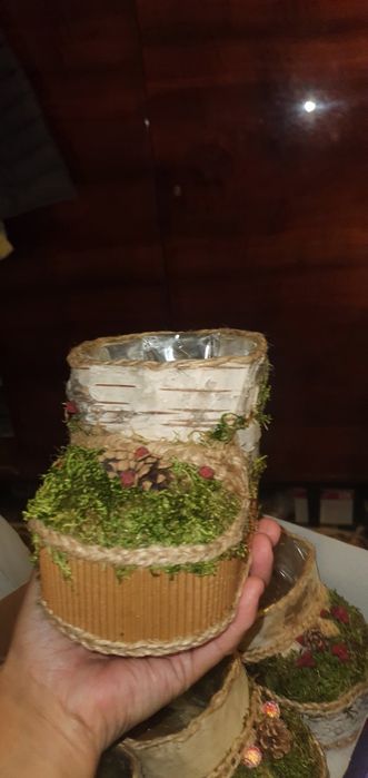 Продаю шишки еловые сосновые