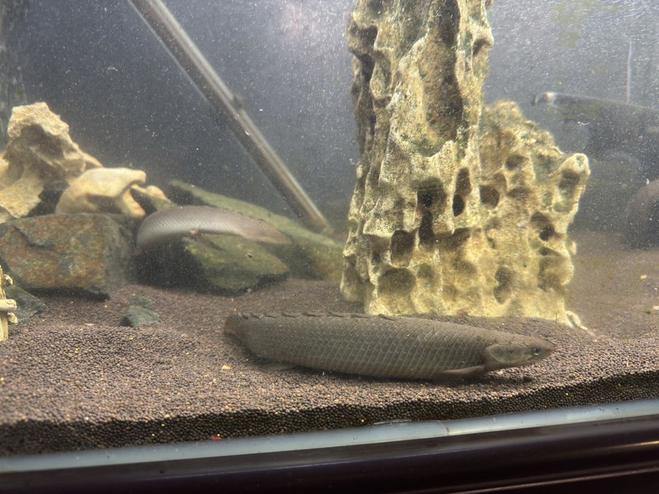 Аквариум 500 литров