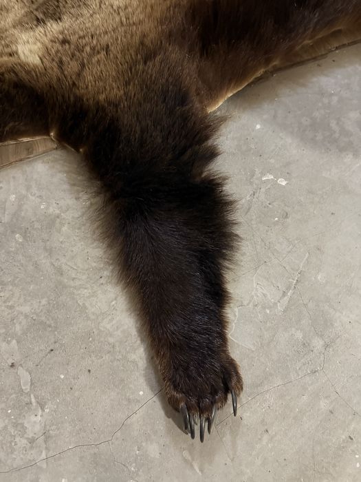 Чучело медведя ….