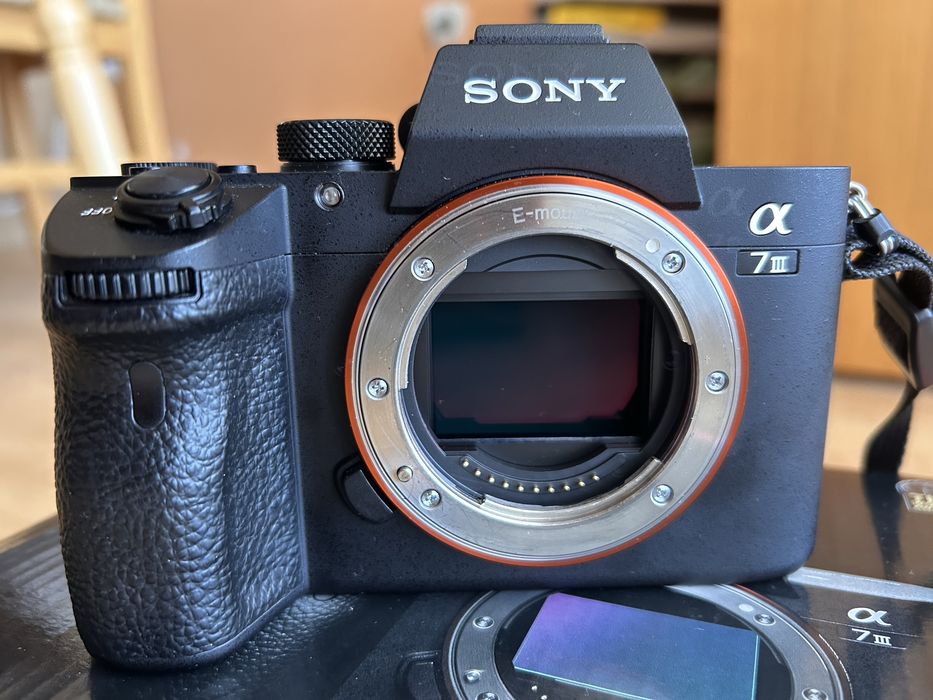 Sony A7III + Sigma 85mm f/1.4 DG Art