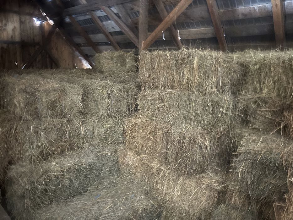 Vand baloti fan si lucerna