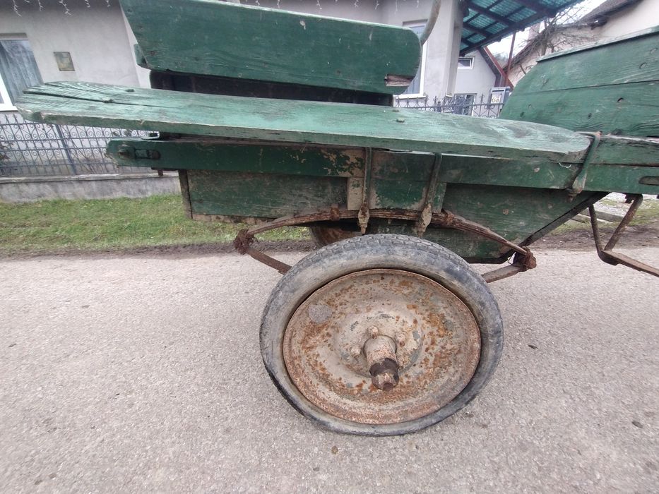 Sareta,caleașca cai