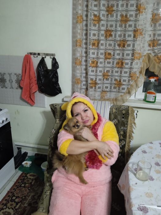 Пропал  собака плроды шпиц