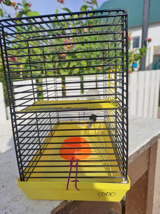 Клетка для хомячка