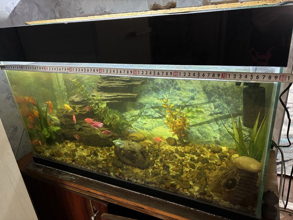 Продаеться оквариум с рыбками