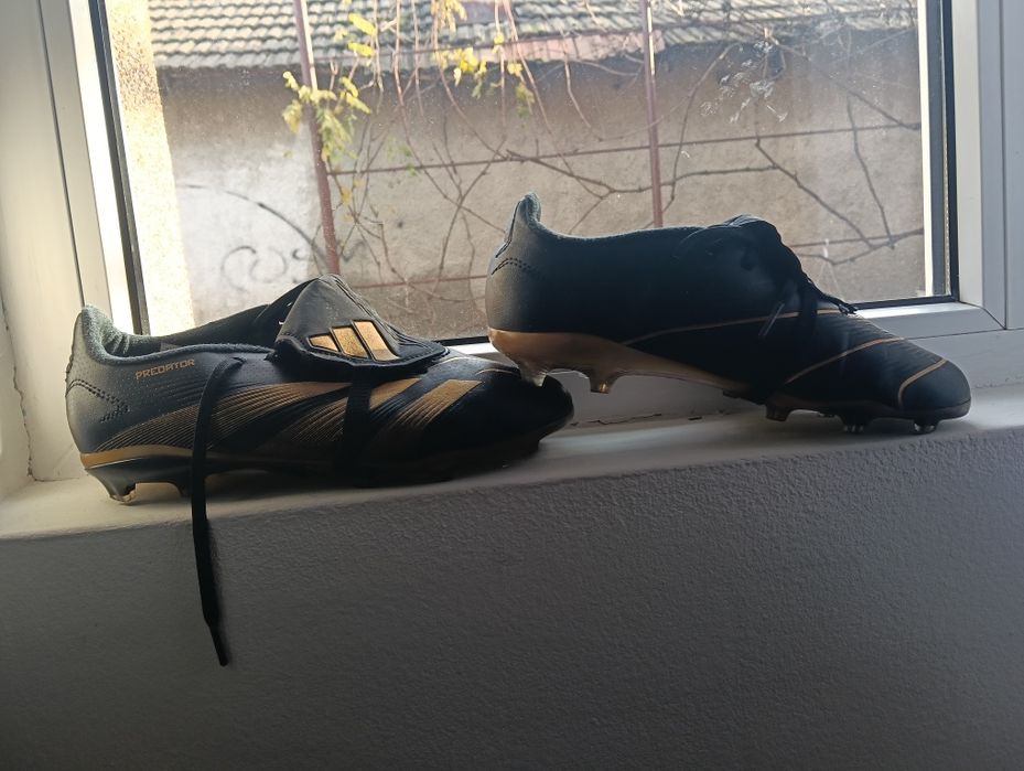 Ghete predător de buna calitate negociabil