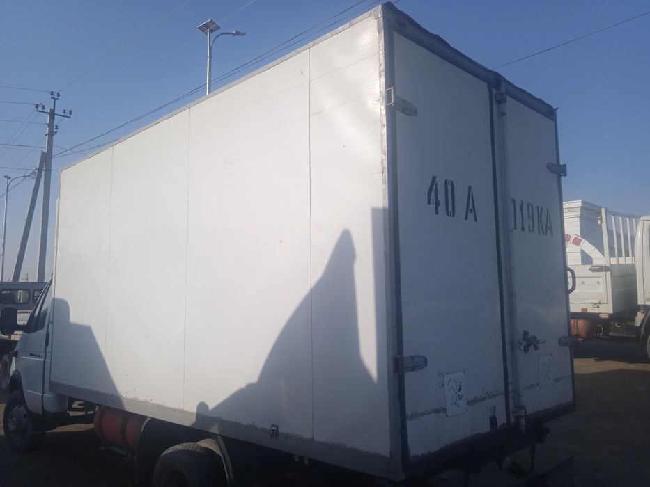 Gazel butka sotiladi