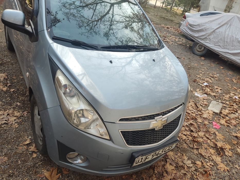 СПАРК 2015 1L.at.дельфин