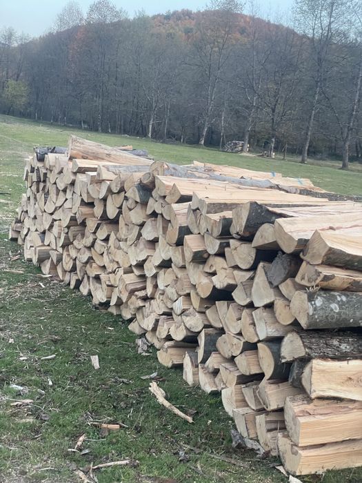 ‼️SC Vindem lemne de foc VERZI/USCATE [Fag,gorun,carpen,cer]