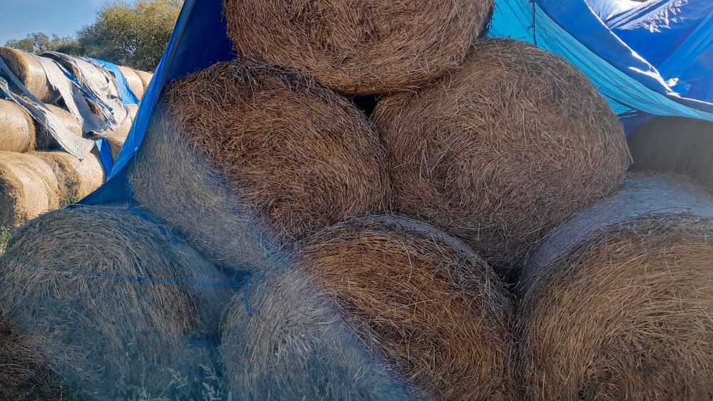 Baloți de fân și lucernă