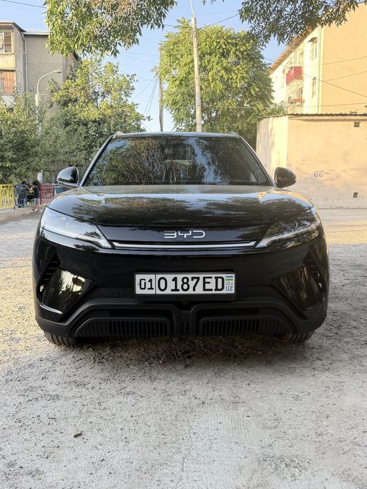 byd yuan up 2025