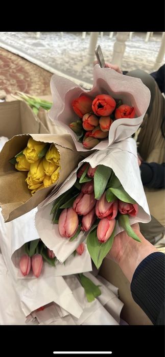 Тюльпаны метровые