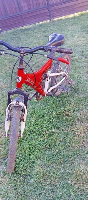 Bicicleta bicicleta