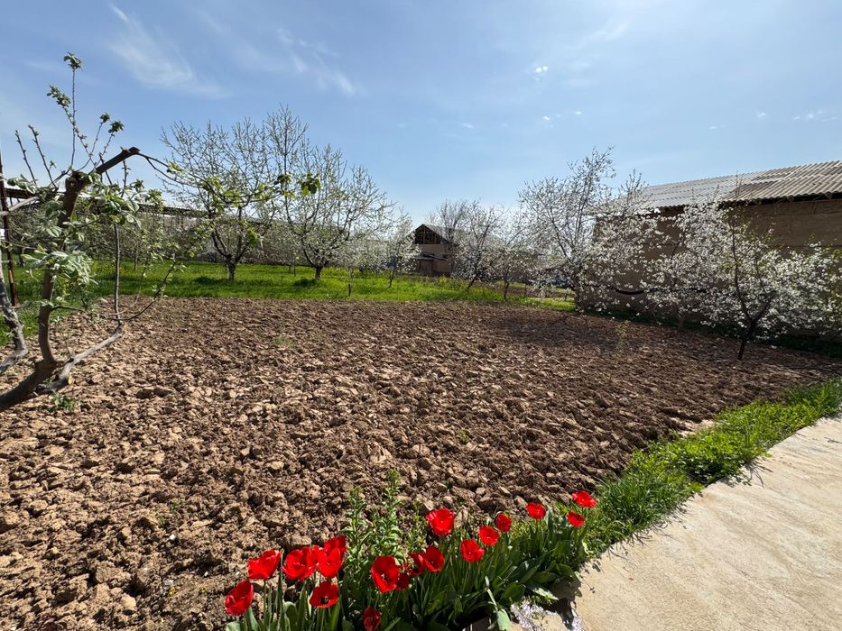 Янгибазар Кавардан В 12 км от парка Янги
Узбекистан Продаётся участок