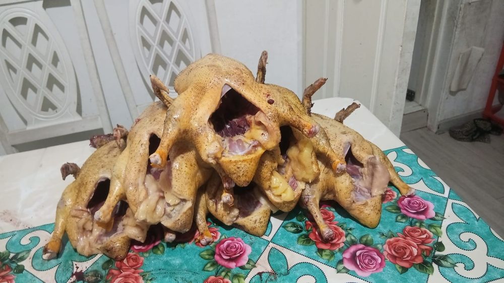 Продам уток и мясо утки