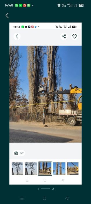 С пилим деревья. Агаш кесемиз.