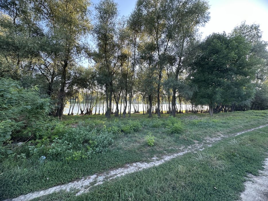 Teren intravilan pe malul dunarii 816mp*3