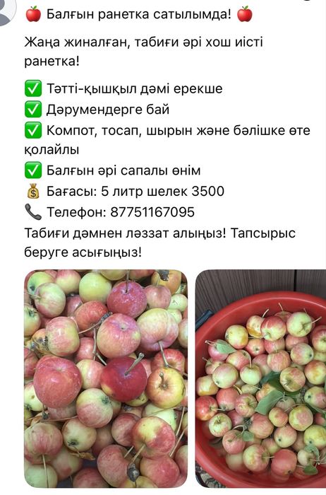 Смородина  и ранетки свежие