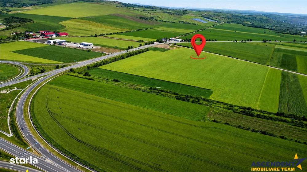Teren logistic 8.397 mp, Ludus: Vizibilitate si acces direct din Nodul