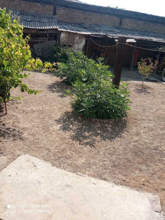 Uchastka дом xovli квартира зимла             Uy yer sotiladi продажа