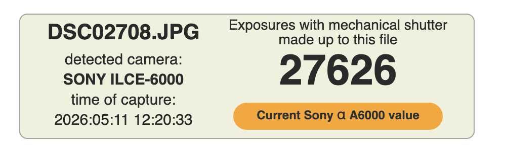 Aparat mirrorless Sony a6000 Kit complet 16-50mm 27626 cadre