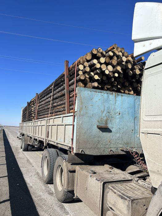 Жерди, сырғауыл сатылады.